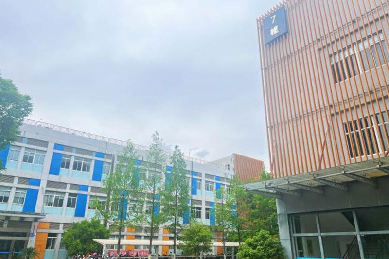 Company Profile